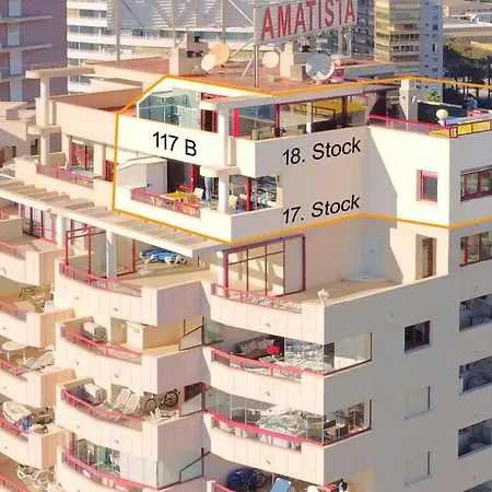 El Rey Del Arenal Bol Calpe